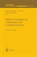 Cover: Pattern Formation in Continuous and Coupled Systems - Springer