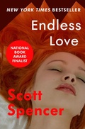 Cover: Endless Love - Open Road Media