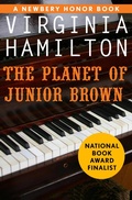 Cover: The Planet of Junior Brown - Open Road Media Teen & Tween