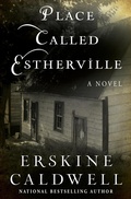 Cover: Place Called Estherville - Open Road Media