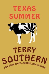 Enlarge image Cover: Texas Summer - Open Road Media