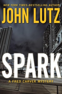Enlarge image Cover: Spark - Open Road Media Mystery & Thriller