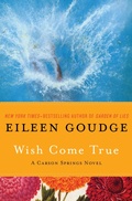 Cover: Wish Come True - Open Road Media