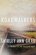 Cover: Roadwalkers - Open Road Media