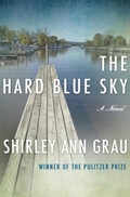 Cover: The Hard Blue Sky - Open Road Media