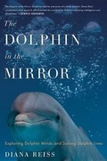 Cover: Dolphin in the Mirror - Houghton Mifflin