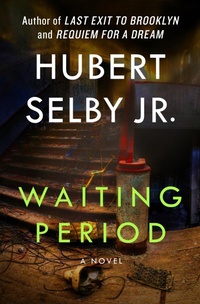 Enlarge image Cover: Waiting Period - Open Road Media