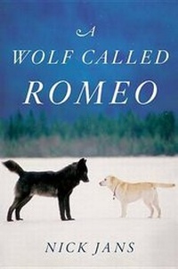 Enlarge image Cover: A Wolf Called Romeo - Houghton Mifflin