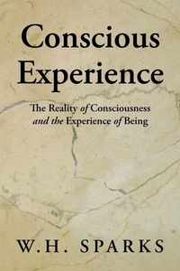 Abbildung von: Conscious Experience - iUniverse