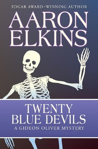Enlarge image Cover: Twenty Blue Devils - Open Road Media Mystery & Thriller