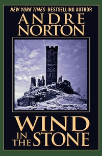 Enlarge image Cover: Wind in the Stone - Open Road Media Sci-Fi & Fantasy