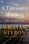 Cover: A Tidewater Morning - Open Road Media