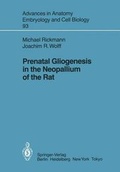 Cover: Prenatal Gliogenesis in the Neopallium of the Rat - Springer