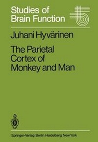Abbildung von: The Parietal Cortex of Monkey and Man - Springer