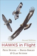 Cover: Hawks in Flight - Mariner Books