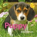 Cover: My New Pet: Puppy - Franklin Watts Ltd
