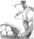 Cover: Chipmunk's Journeys - BOOKBABY