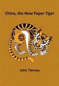 Cover: China, the New Paper Tiger - BOOKBABY