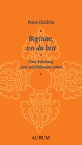 Cover: Beginne, wo du bist - Aurum in Kamphausen Media GmbH