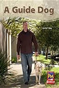 Cover: A Guide Dog - Rigby