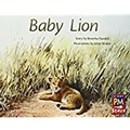 Cover: Baby Lion - Rigby