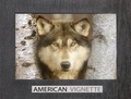 Cover: American Vignette - Photography for the Preservation of Landscape