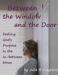Cover: Between the Window and the Door - Lulu.com