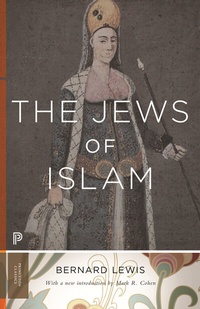 Enlarge image Cover: The Jews of Islam - Princeton University Press