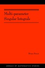 Cover: Multi-parameter Singular Integrals, Volume I - Princeton University Press