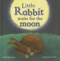 Cover: Little Rabbit - Parragon Publishing