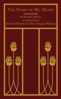 Cover: The Story of My Heart - Torrey House Press