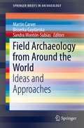 Cover: Field Archaeology from Around the World - Springer