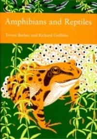 Abbildung von: Amphibians and Reptiles - William Collins