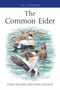 Enlarge image Cover: The Common Eider - Poyser