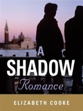 Cover: Shadow Romance - The Troy Book Makers