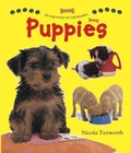 Cover: Say and Point Picture Boards: Puppies - Armadillo Books
