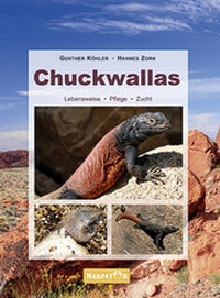 Abbildung von: Chuckwallas - HERPETON