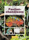 Cover: Panthercham&auml;leons - HERPETON