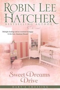Cover: Sweet Dreams Drive - Ten Talents Press