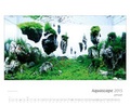 Cover: Kalender "Aquascape 2015" - Tetra