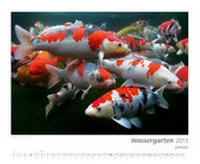 Enlarge image Cover: Kalender "Wassergarten 2015" - Tetra