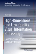 Cover: High-Dimensional and Low-Quality Visual Information Processing - Springer