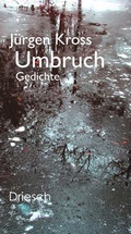 Cover: Umbruch - Driesch