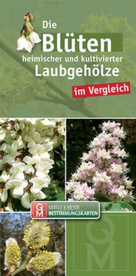 Abbildung von: Die Blüten heimischer Laubgehölze im Vergleich - Quelle & Meyer