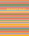 Cover: Bridget Riley: Die Streifenbilder 1961-2012 - Holzwarth Publications