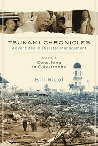 Abbildung von: Consulting in Catastrophe - BOOKBABY