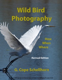 Abbildung von: Wild Bird Photography: How, When, Where - Horus House Press,Inc.