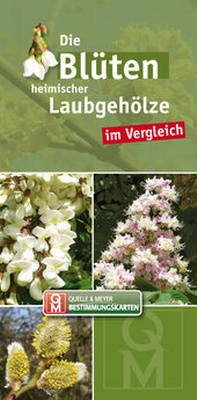 Abbildung von: Die Blüten heimischer Laubgehölze im Vergleich - Quelle & Meyer