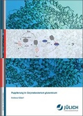 Cover: Pupylierung in Corynebacterium glutamicum - Verlag des Forschungszentrums J&uuml;lich