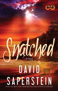 Enlarge image Cover: Snatched - Strebor Books International, LLC